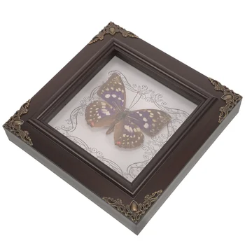 рамкирани пеперуда образец дисплей дървена рамка пеперуда декор десктоп орнамент